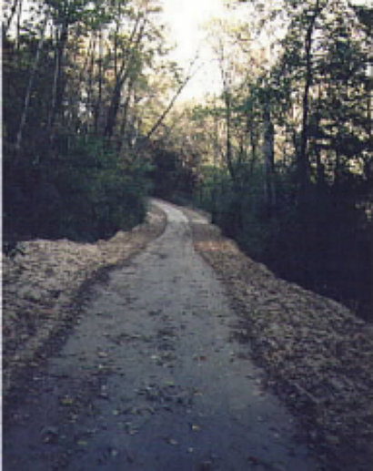 dr.%20mary%20atwell003001.jpg